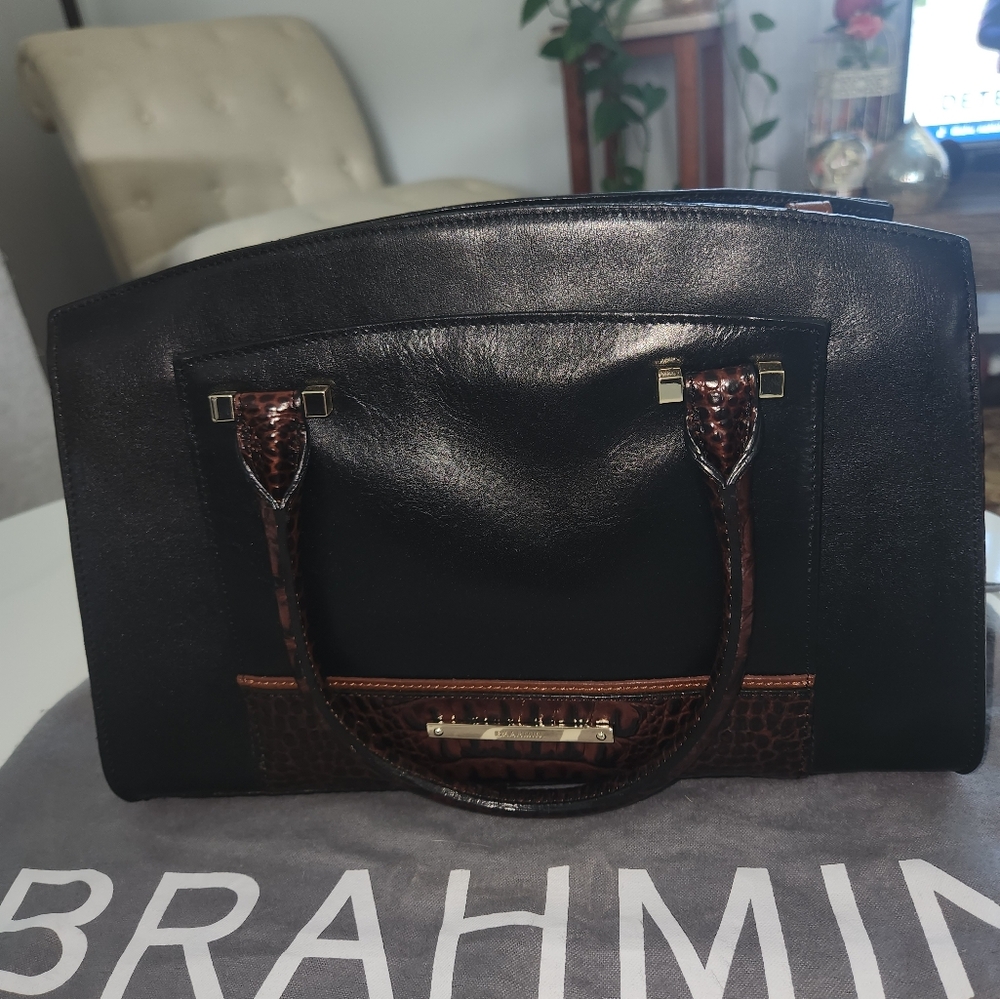 Brahmin - Picture 3 of 7